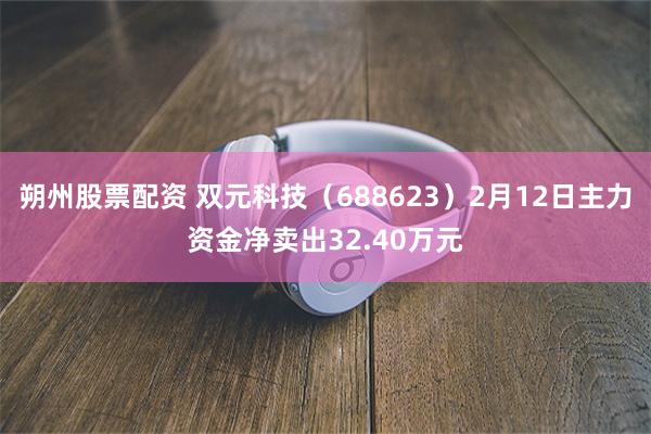 朔州股票配资 双元科技（688623）2月12日主力资金净卖出32.40万元
