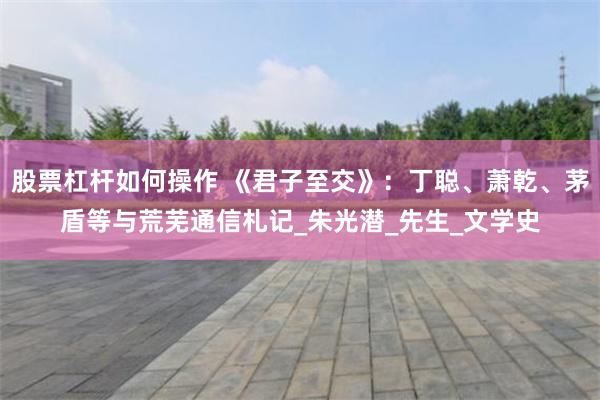 股票杠杆如何操作 《君子至交》：丁聪、萧乾、茅盾等与荒芜通信札记_朱光潜_先生_文学史