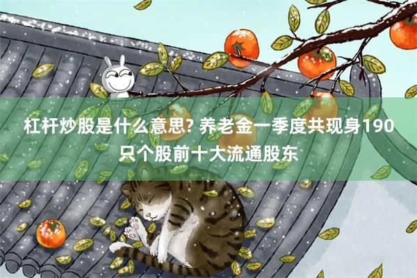 杠杆炒股是什么意思? 养老金一季度共现身190只个股前十大流通股东