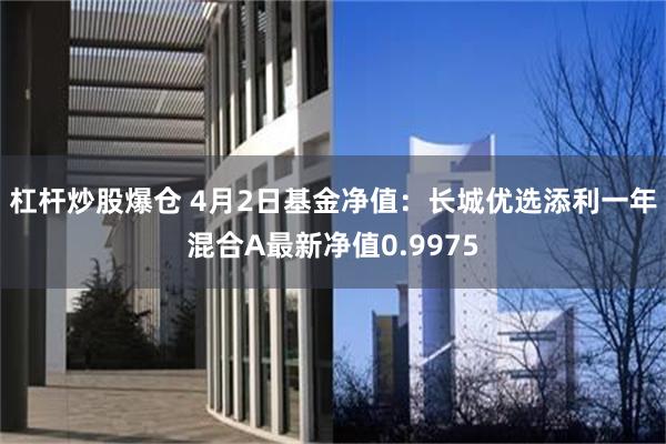 杠杆炒股爆仓 4月2日基金净值：长城优选添利一年混合A最新净值0.9975