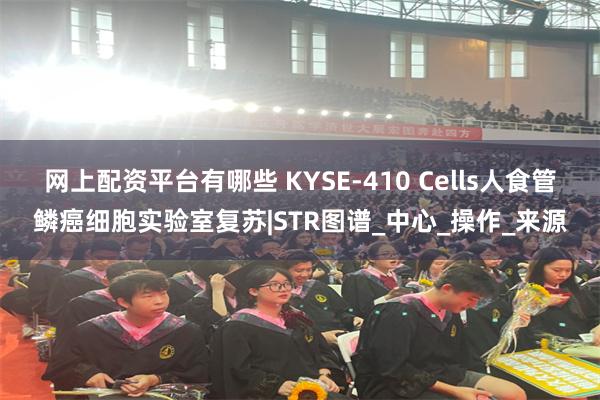 网上配资平台有哪些 KYSE-410 Cells人食管鳞癌细胞实验室复苏|STR图谱_中心_操作_来源