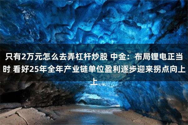 只有2万元怎么去弄杠杆炒股 中金：布局锂电正当时 看好25年全年产业链单位盈利逐步迎来拐点向上