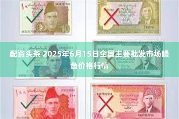 配资头条 2025年6月15日全国主要批发市场鳗鱼价格行情
