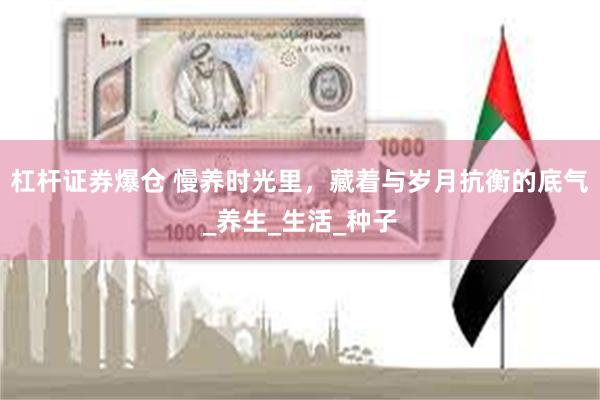 杠杆证券爆仓 慢养时光里，藏着与岁月抗衡的底气_养生_生活_种子