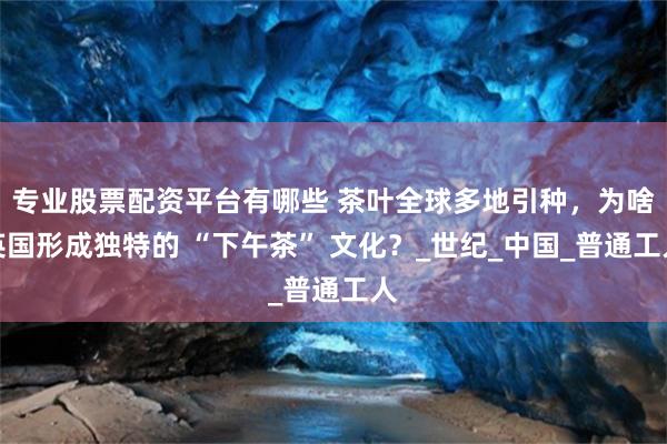 专业股票配资平台有哪些 茶叶全球多地引种，为啥英国形成独特的 “下午茶” 文化？_世纪_中国_普通工人