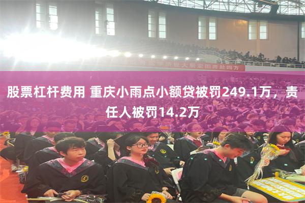 股票杠杆费用 重庆小雨点小额贷被罚249.1万，责任人被罚14.2万